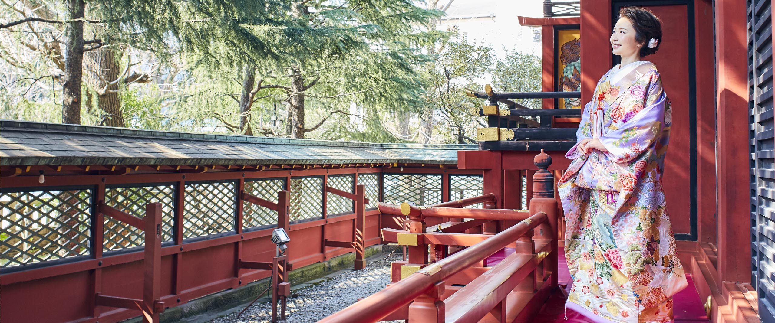 浅草神社の回廊に立ち、樹を見上げる着物姿の花嫁