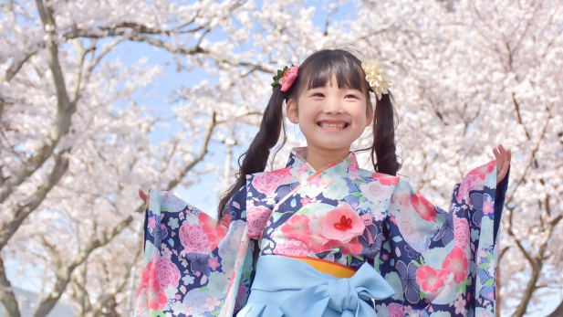桜並木を背景に青い着物と袴を着る女の子