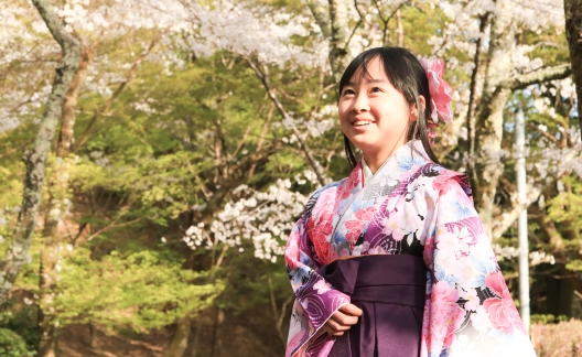 桜小路にいるピンクの袴姿の女の子